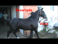 /album/galeria-de-fotos/instant%c3%a2neo-2-%2828-06-2012-00-35%29-png/